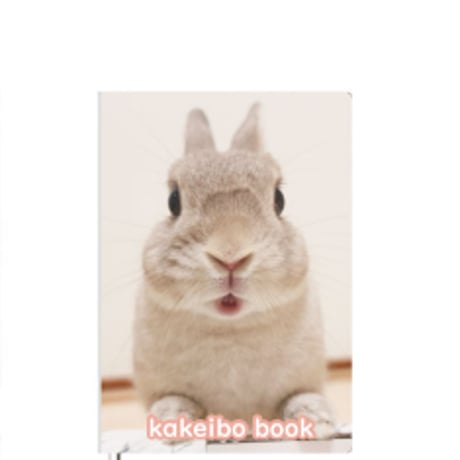 うさページ CATEGORY コガラナ天パのうさハムch | ANISTAR