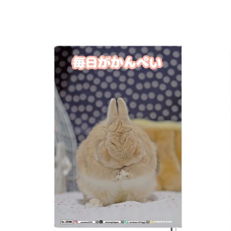 【予約販売】 うさぎの毎日がかんぺい 2025年 A5ノート帳 No25060