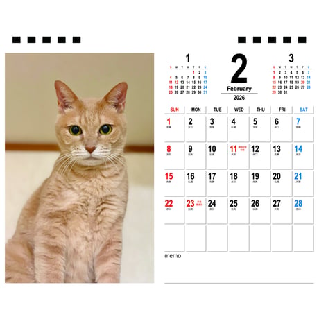 【予約販売】 ひのき猫 2026年 卓上カレンダー TA26176