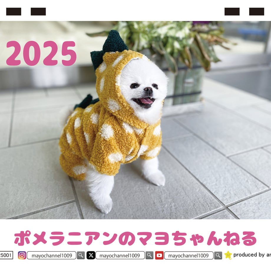 66f665b04961f500010356df