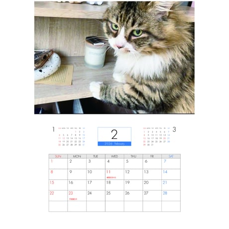 【予約販売】 猫のにゃろめっこ 2026年 壁掛けカレンダー KA26155