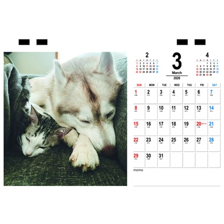 【予約販売】 りりここたんねる 2026年 卓上カレンダー TC26206