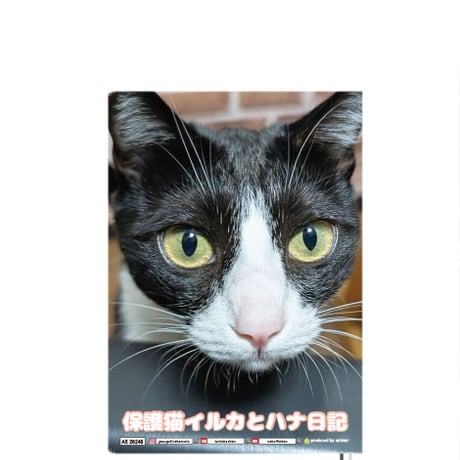 【予約販売】 保護猫イルカとハナ日記 2026年 A5スケジュール帳 A526248