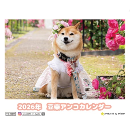 【予約販売】 豆柴アンコ 犬 2026年 卓上カレンダー TC26274