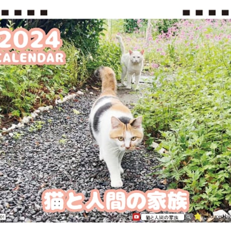 【予約販売】 猫と人間の家族 2024年 卓上 カレンダー TC24203