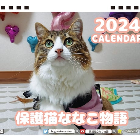 【予約販売】 保護猫ななこ物語 2024年 卓上 カレンダー TC24290