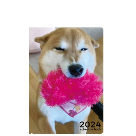 【予約販売】 柴犬のすず 2024年 A5 スケジュール帳 AF24022
