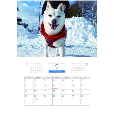 【予約販売】 白柴 小梅 犬 2026年 壁掛けカレンダー KK26196
