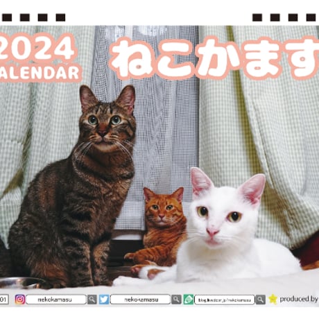 【予約販売】 猫のねこかます 2024年 卓上 カレンダー TC24116