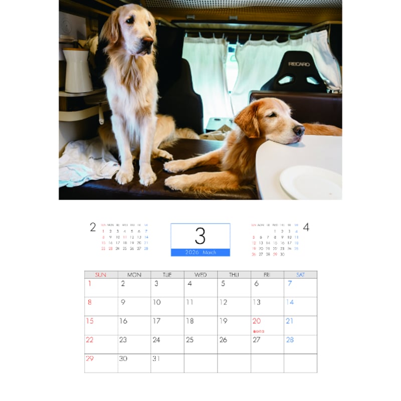 予約販売】 ジョイ＆マックス 犬 2026年 壁掛け カレンダー KK26323