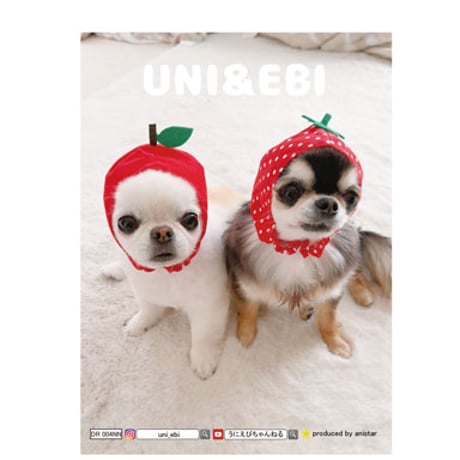 【予約販売】 チワワのUNI＆EBI 犬 日記帳 DR004NN