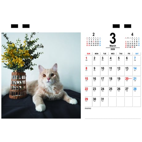 【予約販売】 nocoa家の猫たち 2026年 卓上カレンダー TC26116