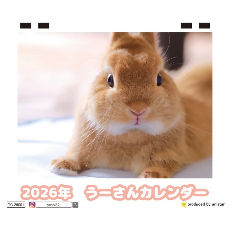 うさぎ3太郎 予約販売】 うさぎのうーさん 2026年 卓上全面 カレンダー