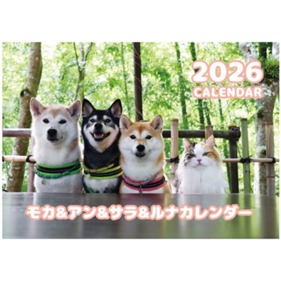 68dd097ce4567c6226209601