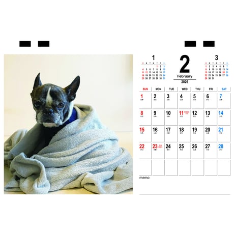 【予約販売】 原 丸男 フレンチブルドッグ 犬 2026年 卓上カレンダー TC26177