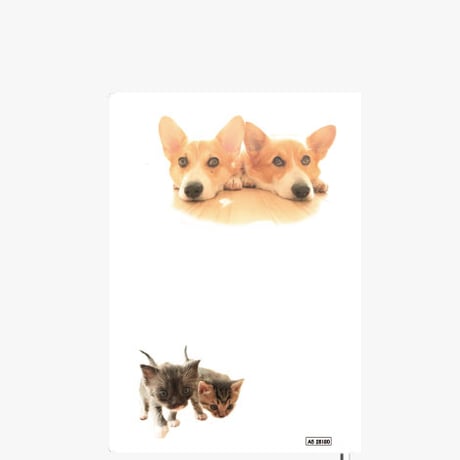 【予約販売】 初めてのコーギー 犬 2026年 A5スケジュール帳 A526180