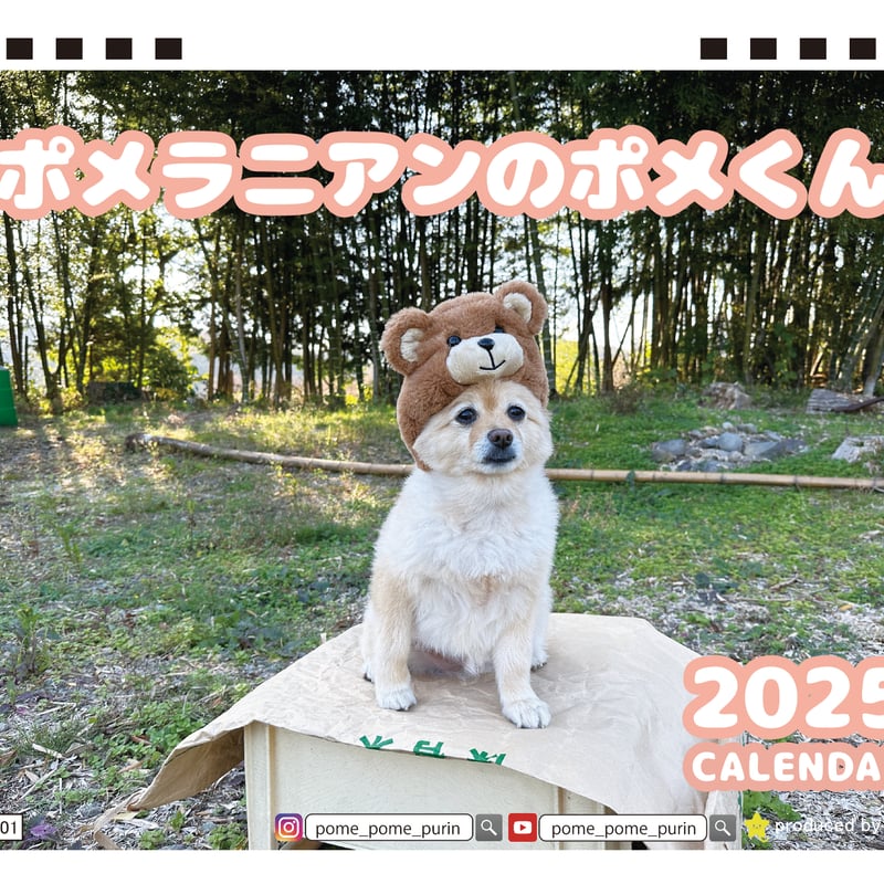 オーダー用 パネル ポメちゃん 100