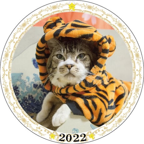 【予約販売】 猫のリキちゃんねる 2022年 イヤープレート皿立て付き PU2209