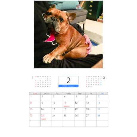 【予約販売】 フレンチブルドッグ torus トーラス 犬 2026年 壁掛け カレンダー KK26033