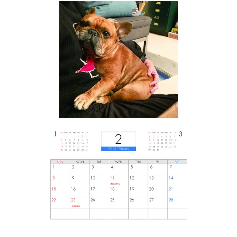 予約販売】 フレンチブルドッグ torus トーラス 犬 2026年 壁掛け