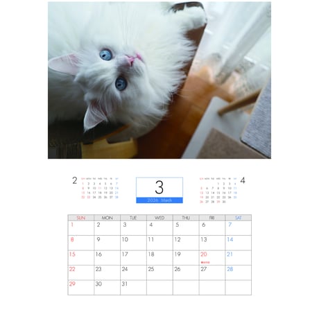 【予約販売】 あつまれちいかまの森 猫 2026年 壁掛け カレンダー KK26292