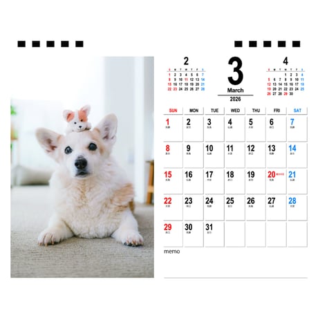 【予約販売】 ノエル&モナ コーギー 犬 2026年 卓上半面 カレンダー TA26335