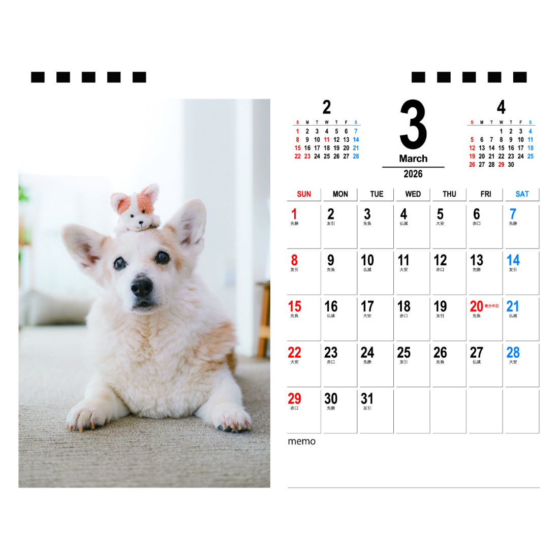 予約販売】 ノエル&モナ コーギー 犬 2026年 卓上半面 カレンダー
