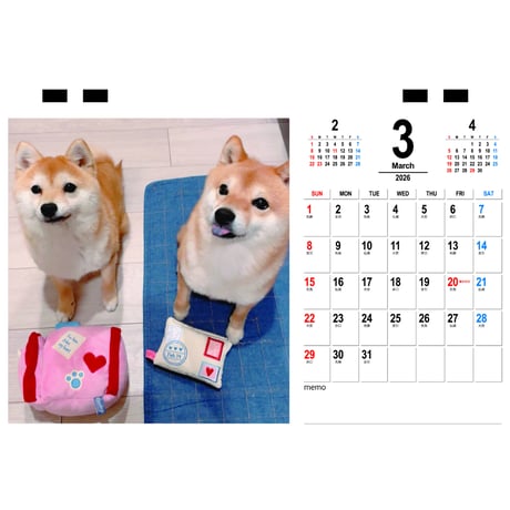 【予約販売】 柴犬 豆柴のちくわ＆がんも 2026年 卓上カレンダー TC26276