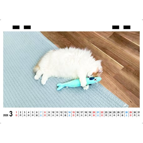 【予約販売】 レモン 猫 2026年 卓上 カレンダー TC26309