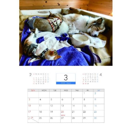 【予約販売】 犬のわんずと車中泊 2024年 壁掛け カレンダー KK24313
