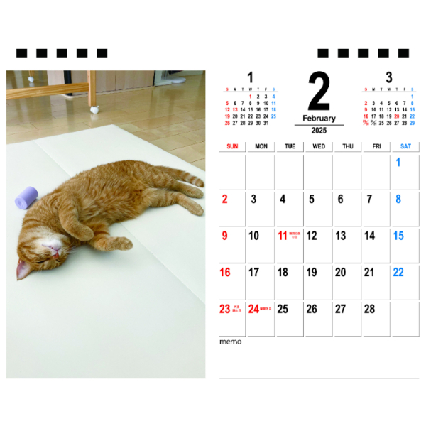 予約販売】 猫 もち 2025年 卓上半面 カレンダー TC25373 | ANISTAR