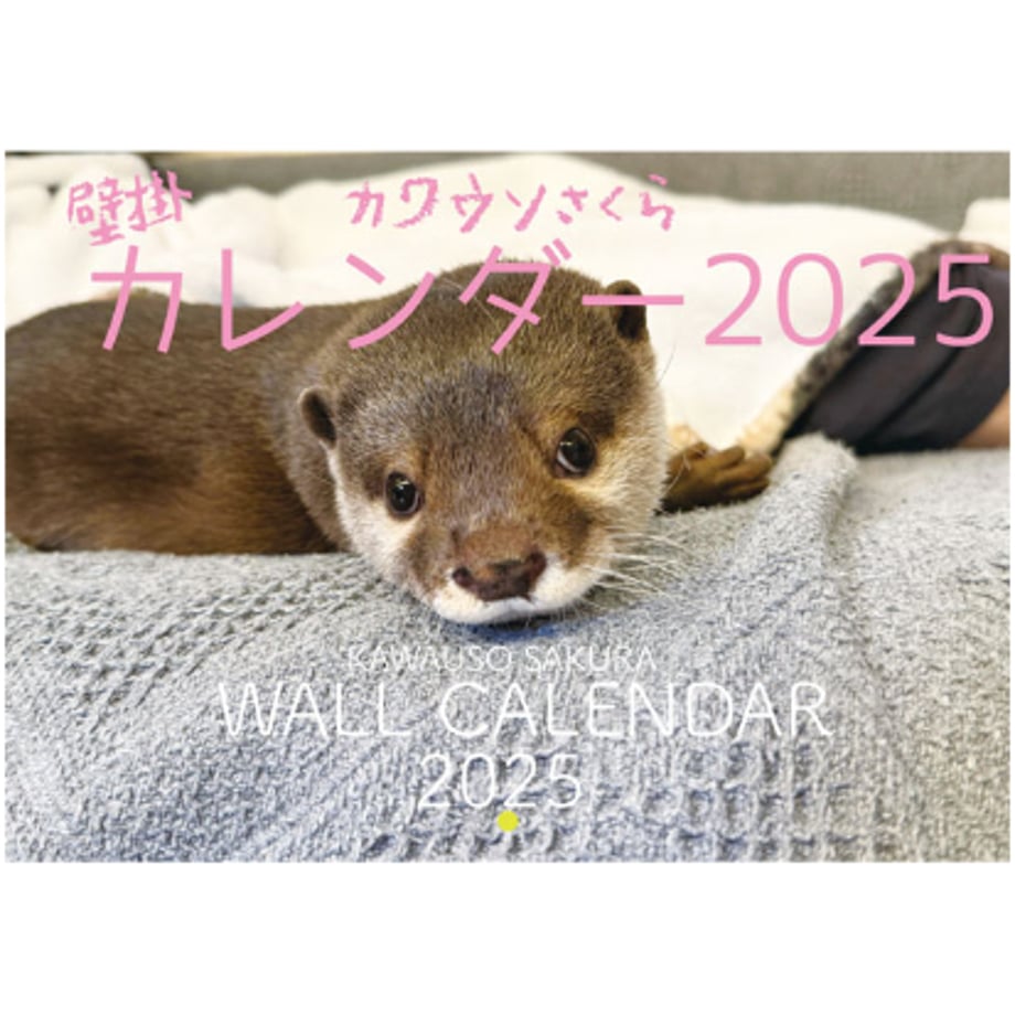 672477a596e1cb0a1719bdc2