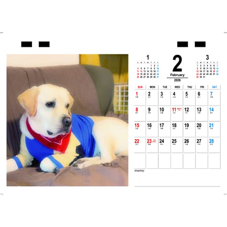 【予約販売】 TONY ラブラドールレトリバー 犬 2026年 卓上カレンダー TC26240