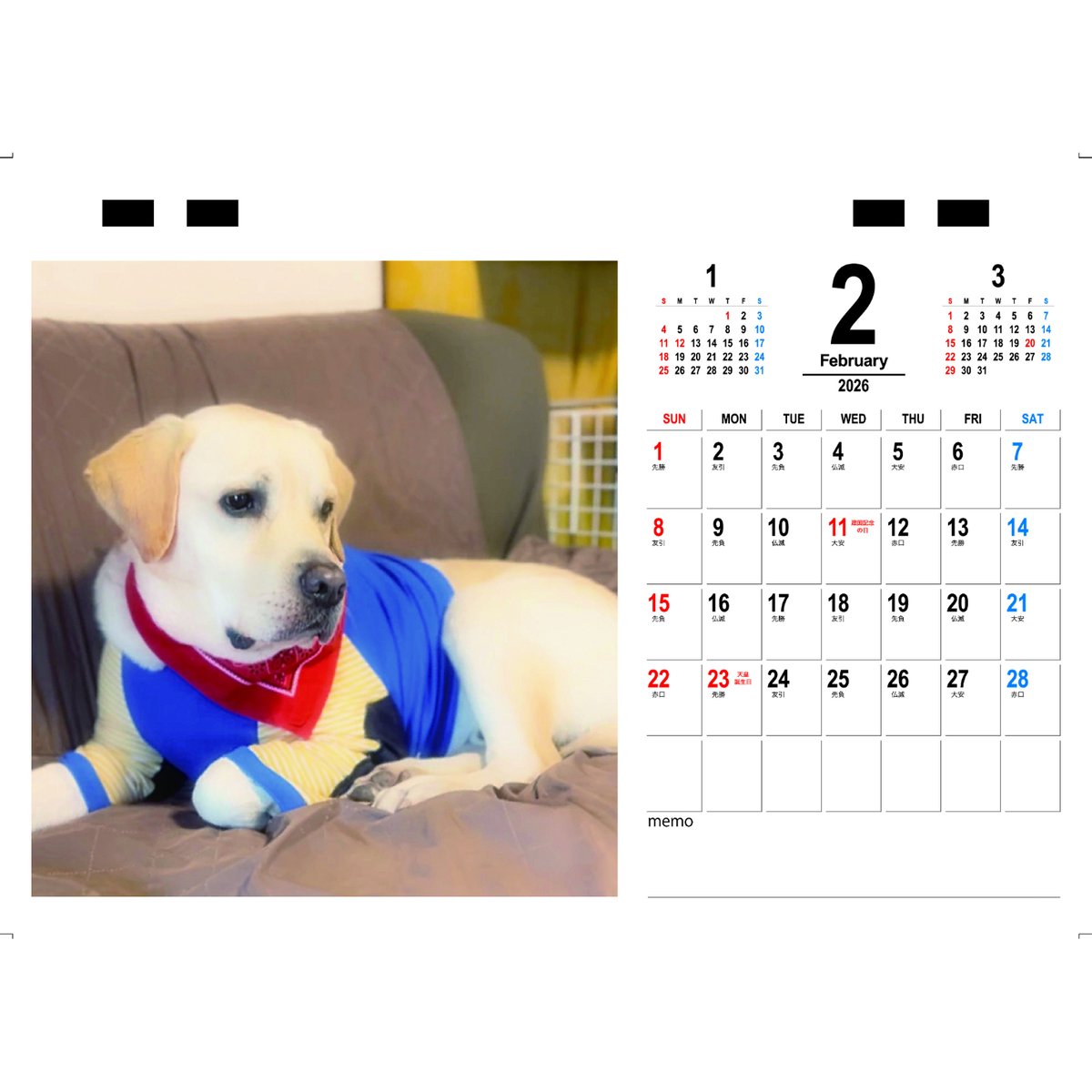 予約販売】 TONY ラブラドールレトリバー 犬 2026年 卓上カレンダー