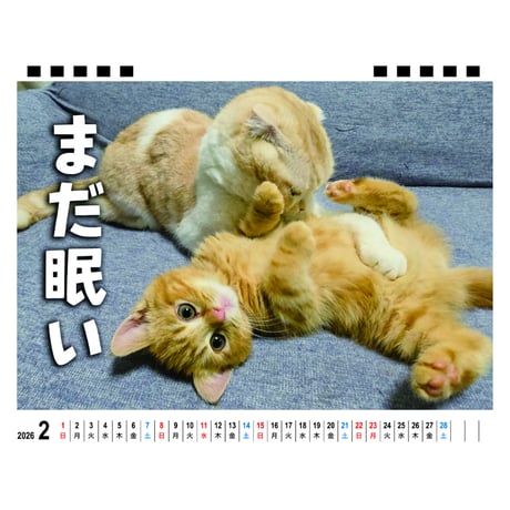 【予約販売】 犬と猫の親バカ日記 じゅんちゃん茶太郎 2026年 卓上カレンダー TA26210