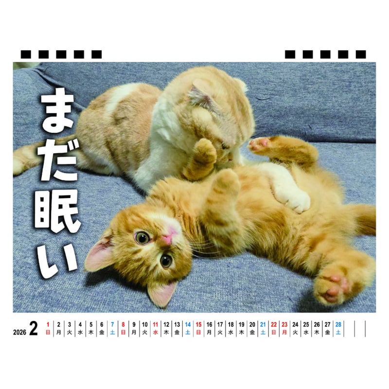 予約販売】 犬と猫の親バカ日記 じゅんちゃん茶太郎 2026年 卓上