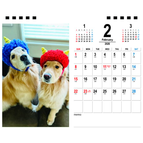 【予約販売】 コメ&イクラ ゴールデンレトリバー 犬 2026年 卓上半面 カレンダー TA26287