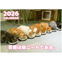 【予約販売】 吾輩は猫ニートである。 2026年 壁掛け カレンダー KA26347
