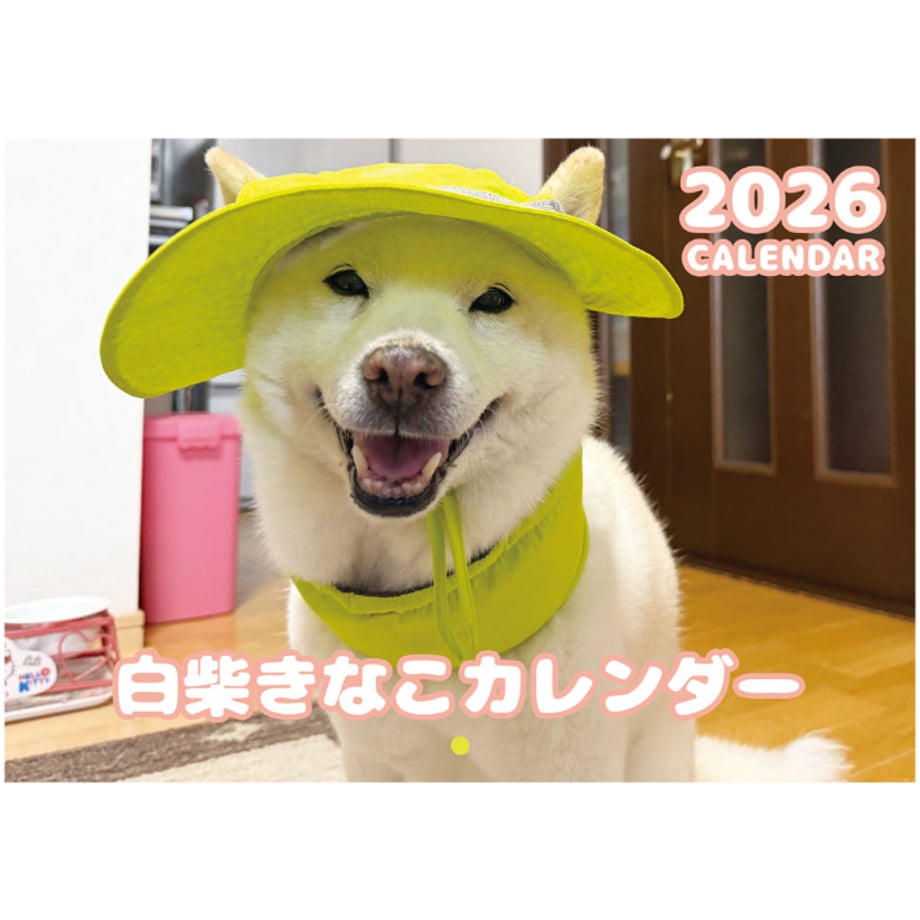 68eee1db87ef5b6d4033b4a7