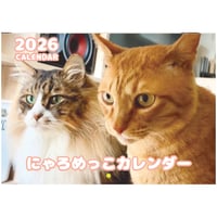 【予約販売】 猫のにゃろめっこ 2026年 壁掛けカレンダー KA26155