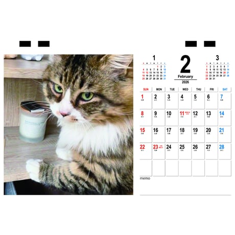 【予約販売】 猫のにゃろめっこ 2026年 卓上カレンダー TC26157