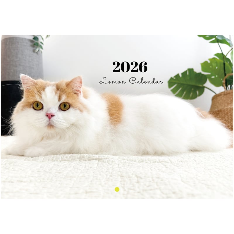 予約販売】 レモン 猫 猫のレモンと犬のポテチちゃんねる 2026年