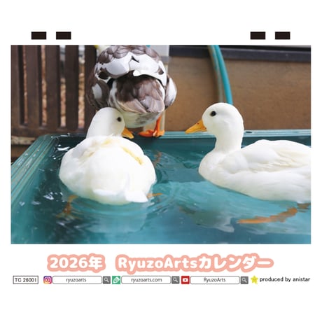 【予約販売】 Ryuzo Arts アヒル 2026年 卓上カレンダー TC26100