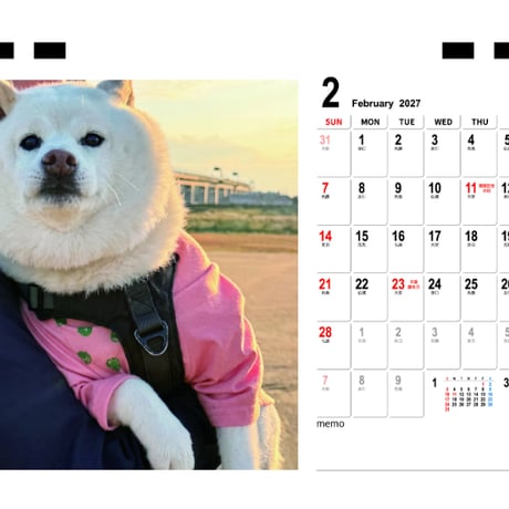 【予約販売】 白柴ごん太 柴犬 2027年 卓上 カレンダー TC27007