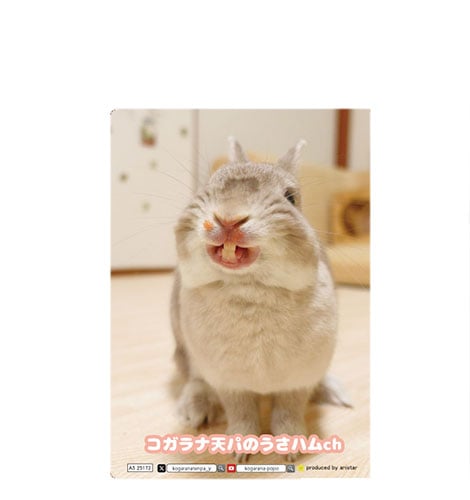 fit=scale-down,w=1200