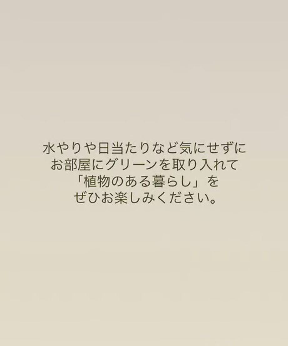 6558670b7588611b845d9b72