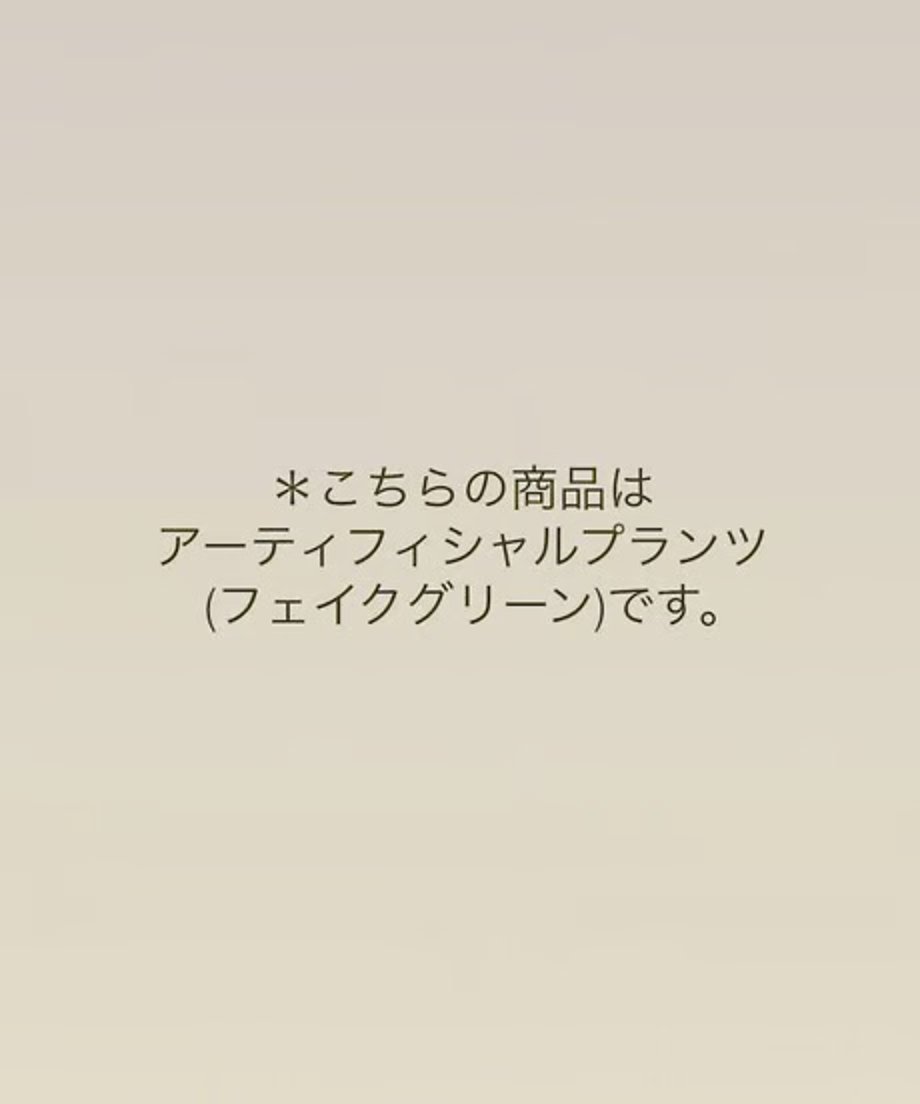 6558670b7588611b845d9b72