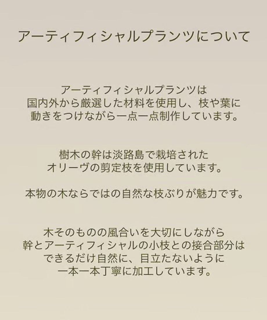 6558670b7588611b845d9b72