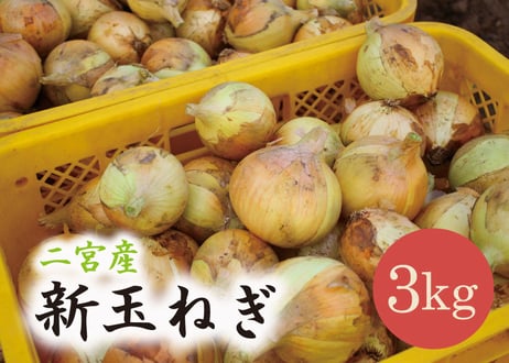 CATEGORY 野菜・果物 | とことこ暮らし