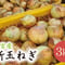 【数量限定再入荷!】令和5年産 春の味覚! 獲れたて新玉ねぎ3kg(商品コード:TF370199)